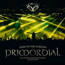 Primordial Gods to the Godless cover