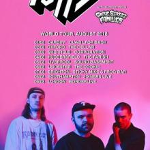 Puppy UK Tour 2018 poster