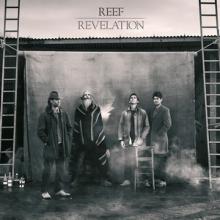 Reef Revelation cover