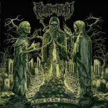 Revel In Flesh Relics of the Deathkult cover