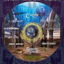RoSfest 2014 Poster