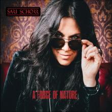 Sari Schorr A Force of Nature cover