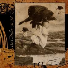 Se Delan The Fall cover