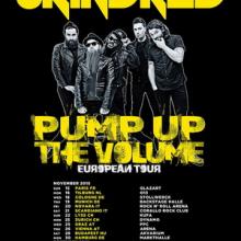 Skindred Euro Tour 2015 poster
