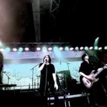Snakes In Paradise band pic
