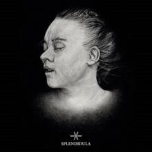 Splendidula Post Mortem cover