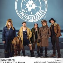 Steve ‘n’ Seagulls UK Tour 2016 poster