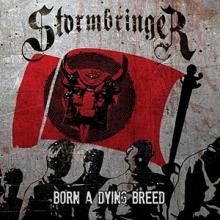 Stormbringer Born A Dying Breed cover