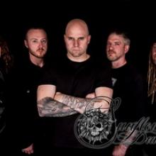 Sunflower Dead band pic