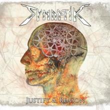 Synaptik Justify & Reason cover