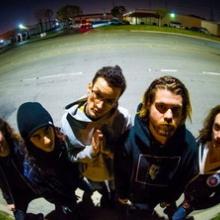 Tallah band pic