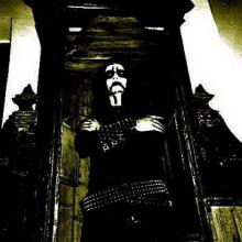 Tenebrio pic