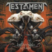 Testament Brotherhood of the Snake cover
