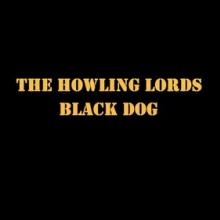 The Howling Lords video pic