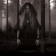 The Lumberjack Feedback Blackened Visions cover