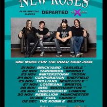 The New Roses UK Tour 2018 poster