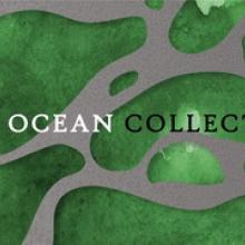 The Ocean video pic