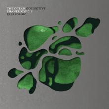 The Ocean Collective Phanerozoic I Palaeozoic cover