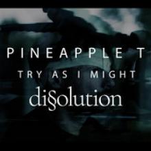 The Pineapple Thief video pic