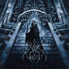 Unflesh Savior cover