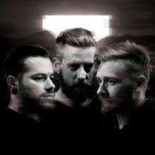 Veins band pic