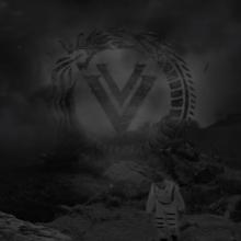 Veonity video pic