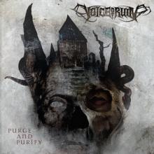 Voice Of Ruin Purge and Purify cover