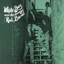 White Boy And The Average Rat Band cover