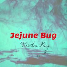 Weather King JeJune Bug single cover