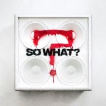 While She Sleeps So What cover