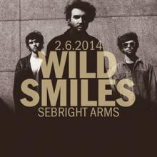 Wild Smiles The Sebright Arms 2014 poster