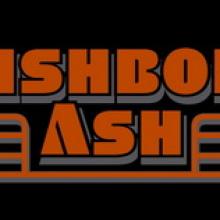 Wishbone Ash logo