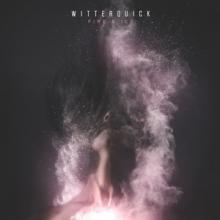Witterquick Fire & Ice EP cover