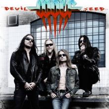 Wolf band pic