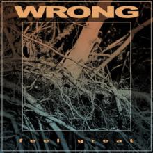 Wrong Feel Great cover