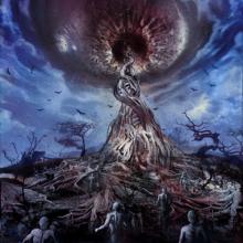 Zealotry The Last Witness cover